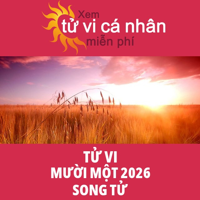 Tử vi Song Tử Mười Một 2026