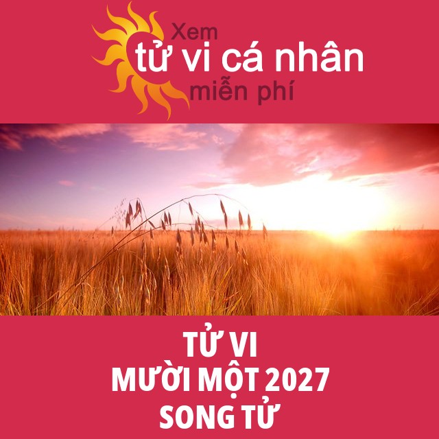 Tử vi Song Tử Mười Một 2027