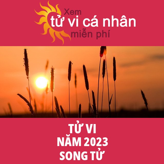 Tử vi Song Tử  Năm 2023